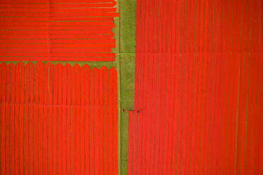 Luftaufnahme von zwei Personen, die auf einem Feld arbeiten und rote Baumwollstoffrollen in Narsingdi, Dhaka, Bangladesch, aufspannen. - AAEF11088