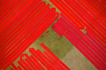 Luftaufnahme von zwei Personen, die auf einem Feld arbeiten und rote Baumwollstoffrollen in Narsingdi, Dhaka, Bangladesch, aufspannen. - AAEF11094