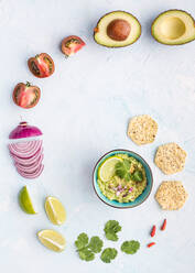 Round layout of cut tomatoes and sliced onions with lime and avocado on white surface with bowl of freshly made guacamole - ADSF27794