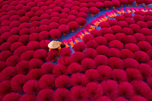 Aerial view of incense workers sits surrounded by thousands of incense sticks, where the sticks have been traditionally made for hundreds of years in Quang Phu Cau, Hanoi, Vietnam. - AAEF11163