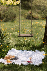 Picnic blanket with feminine accessories placed on green meadow near swings hanging on tree in sunny summer day in countryside - ADSF27841