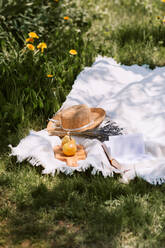 Picknickdecke mit weiblichen Accessoires auf grüner Wiese in sonnigen Sommertag auf dem Lande platziert - ADSF27842