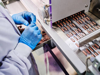 Unkenntlich gemachte Fabrikarbeiterin mit Handschuhen arbeitet an einem automatischen Förderband mit Kapselpillen in Blistern in einer pharmazeutischen Produktionsstätte - ADSF27847