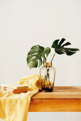 Komposition von frischen grünen Pflanzen in Glasvase und gestapelten Bücher mit gelben Stoff auf hölzernen Schreibtisch vor weißem Hintergrund - ADSF27993