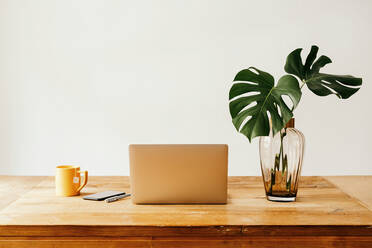 Laptop und Smartphone auf Holztisch mit Tasse Tee und Glasvase mit grünen Pflanzen vor weißer Wand - ADSF27996