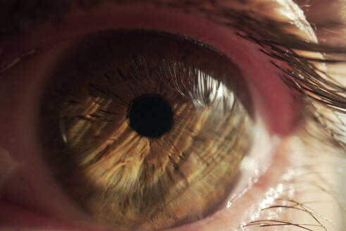 Macro view of brown eye of anonymous person lit by sunlight looking at camera - ADSF28039