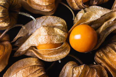 Draufsicht auf einen nahtlosen Hintergrund aus orangefarbenen Physalis, die in Reihen auf einem schwarzen Tisch angeordnet sind - ADSF28072