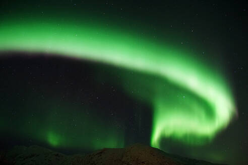 Spektakuläre grüne und rosa Nordlichter in Tromso - ADSF28148