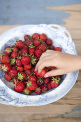 Girl picking up fresh red strawberries from plate - GISF00824