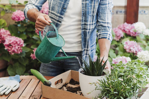 Man watering plant at table in backyard - EBBF04380