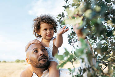 Afroamerikanischer Vater und neugierige kleine Tochter berühren Baumblätter in einer sommerlichen Landschaft - ADSF28370