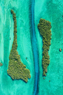 Luftaufnahme der Inseln in den westlichen Kanälen, Aldabra-Atoll, Seychellen. - AAEF11382