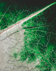Aerial view of Green Salt Marshes near Huelva, Spain - AAEF11397