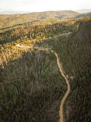 Luftaufnahme einer kurvenreichen Straße durch einen Wald in Colorado, USA. - AAEF11512