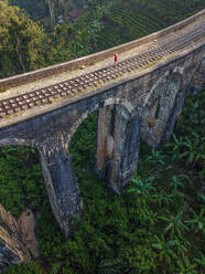 Luftaufnahme eines Mädchens, das auf der leeren Eisenbahnbrücke Nine Arch Bridge im grünen Palmen-Dschungel in Ella, Sri Lanka, steht - AAEF11624