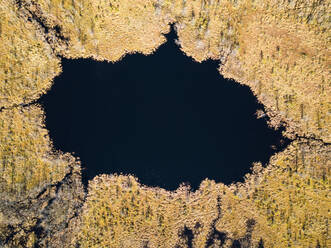 Luftaufnahme eines kleinen Moorsees in Litauen - AAEF11729