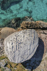 Luftaufnahme von Noddys auf einem Granitfelsen, Lilot Fr√©gate, Seychellen. - AAEF11956