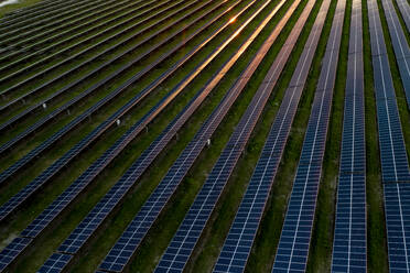 Aerial view of Solar panels in a solar field in Micco, Sebastian, Florida, United States. - AAEF12044