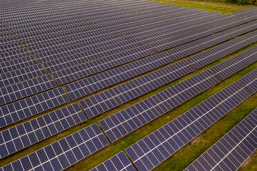 Aerial view of Solar panels in a solar field in Micco, Sebastian, Florida, United States. - AAEF12045