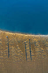 Luftaufnahme von Fischern, die während des Sonnenaufgangs am Ufer fischen, wenn der Sand goldfarben und das Flusswasser glatt wie Seide ist, in Ria de Aveiro, Torreira, Murtosa, Aveiro, Portugal - AAEF12055