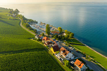 Luftaufnahme des Dorfes Meersburg am Bodensee in Baden-W√ºrttemberg, Deutschland. - AAEF12097