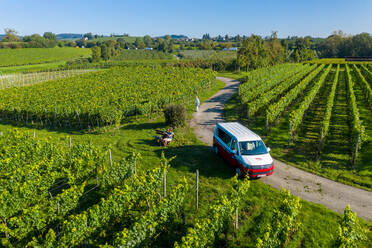 Luftaufnahme eines Wohnmobils auf einer kleinen Straße mit Weinberg am Bodensee, Deutschland. - AAEF12101