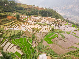 Aerial view of a beautiful landscape with agricultures plantation during a foggy day near Sa Pa town, Lao Cai province, Vietnam. - AAEF12164