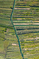 Luftaufnahme der Mündung des Flusses Neretva in Süddalmatien, Kroatien. - AAEF12305