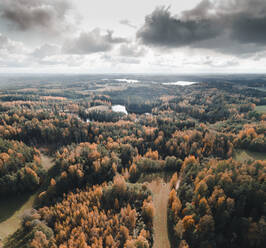 Aerial view of South Estonian hills and forest in fall season, Karula National Park, V√µrumaa, Estonia. - AAEF12318