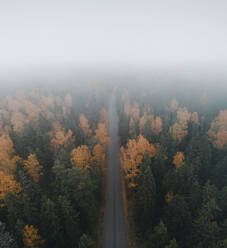 Luftaufnahme der Straße im bunten und nebligen Herbstwald, Insel Vormsi, Estland. - AAEF12323