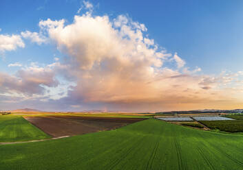 Luftaufnahme eines Regenbogens in einem Feld mit Regenwolken, Jezreel-Tal, Nordbezirk, Israel. - AAEF12347