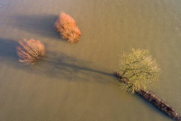 Abstrakte Luftaufnahme von Bäumen mit ihren Schatten in überschwemmten Auen entlang der IJssel während einer Hochwasserperiode, Niederlande - AAEF12368