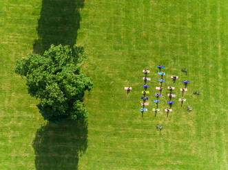 Aerial view of yoga group exercising in park. - AAEF12376