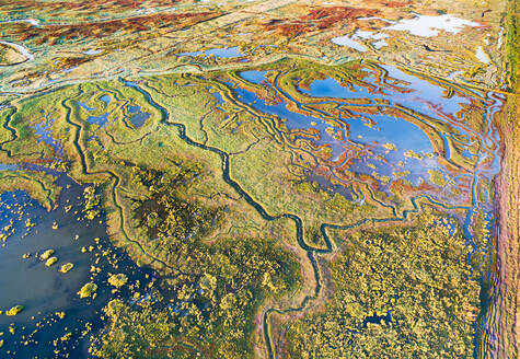 Aerial view of colourful coastal area Saeftinghe, Zeeland, Netherlands - AAEF12390