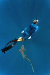 Young man wearing wet suit snorkeling with nurse shark in sea - KNTF06324