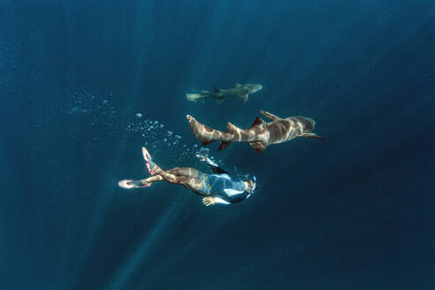 Junger Mann schwimmt mit Ammenhaien unter Wasser - KNTF06329