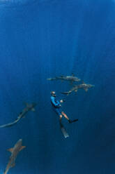 Junger Mann im Neoprenanzug beim Schnorcheln mit Ammenhaien unter Wasser - KNTF06330