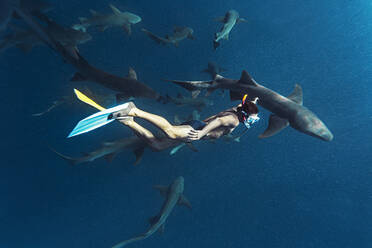 Man swimming with nurse sharks undersea - KNTF06339