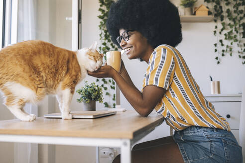 Glückliche Frau mit Kaffeetasse schaut auf Katze auf dem Schreibtisch - JCCMF03318