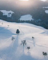 Aerial View of Snowy Mountains with trees and birds in Kanton ZuÃàrich, Switzerland - AAEF12492