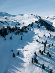 Luftaufnahme von Bäumen und Bergen in Stoos, Schweizer Skigebiet in Schwyz, Schweiz - AAEF12506