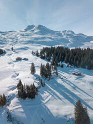 Luftaufnahme von Bäumen und Bergen in Stoos, Schweizer Skigebiet in Schwyz, Schweiz - AAEF12507