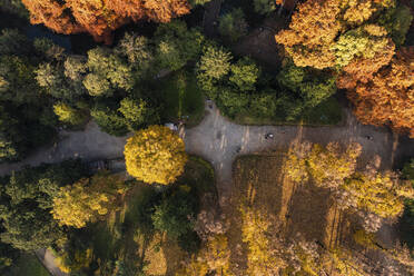 Aerial view of a walking path in Giardini Idro Montanelli, a public and famous park in Milan downtown, Milan, Lombardia, Italy. - AAEF12563