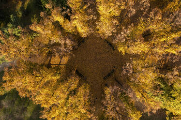 Aerial view of a hidden spot in Giardini Idro Montanelli, a public park in Milan downtown, Milan, Lombardia, Italy. - AAEF12564