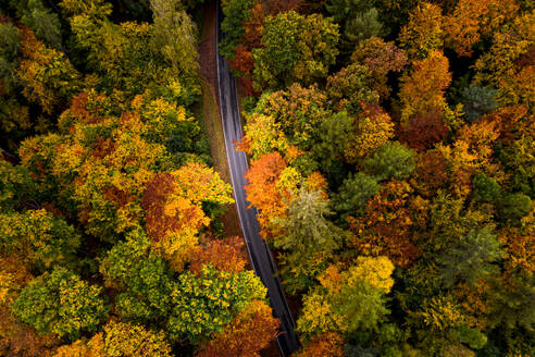 Luftaufnahme einer Straße in einem bunten Wald im Herbst, Hessen, Deutschland. - AAEF12632