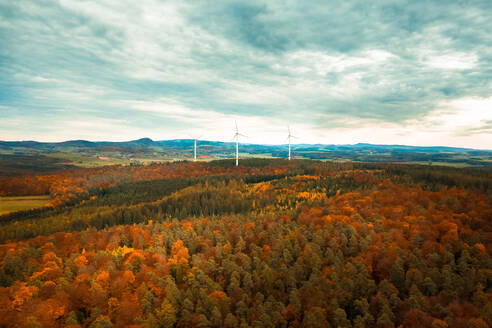 Luftaufnahme von Windmühlen in einem Wald im Herbst, Hessen, Deutschland. - AAEF12633