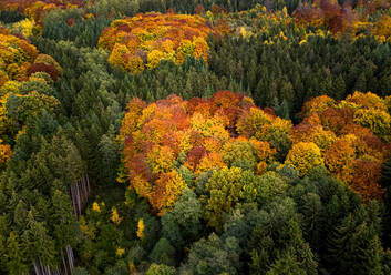 Luftaufnahme einer Herbstlandschaft mit Straßen, die ein Dreieck bilden, Hessen, Deutschland. - AAEF12634