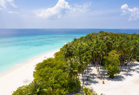Panoramic aerial view of the local island Utheemu, beachfront with palm trees, Maldives, Laccadive Sea. - AAEF12643
