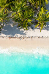 Luftaufnahme eines natürlichen Strandes mit brechenden Wellen und Palmen, Vashafaru, Malediven, Laccadive Meer. - AAEF12645