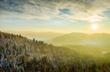 Panoramic aerial view of the Black Forest with snowcovered tree tops at sunset, Baden Baden, Germany. - AAEF12665